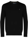 Polo Ralph Lauren logo embroidery crew jumper