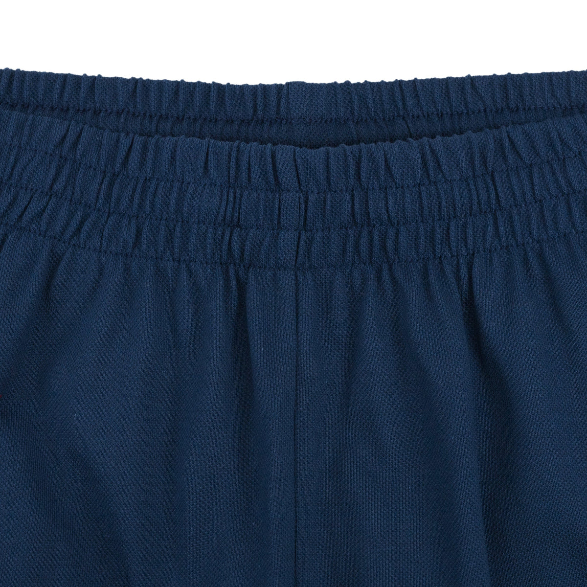 Blue Mesh Shorts